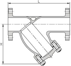 6A雙相不銹鋼Y型過濾器